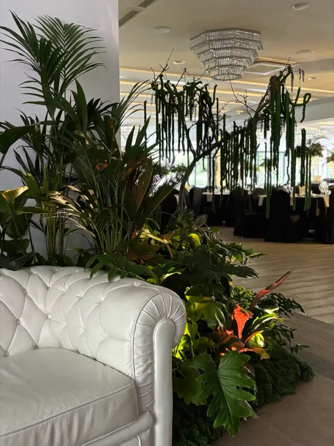Realizacja Jur-Mir Events